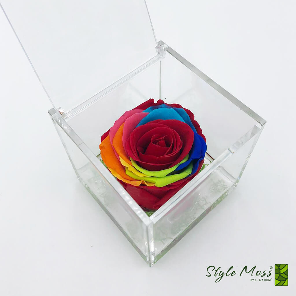 Rosa stabilizzata Rainbow Style - Style Moss - Verde Stabilizzato