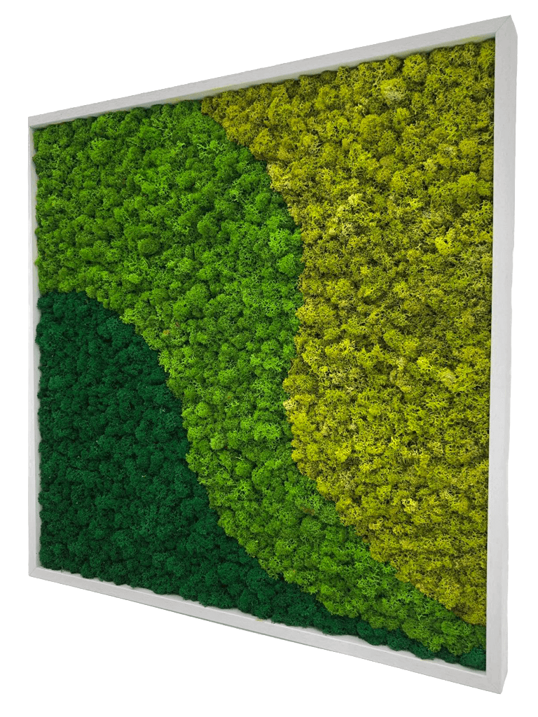 quadro in lichene style moss